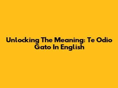 Unlocking The Meaning: 'Te Odio Gato' In English
